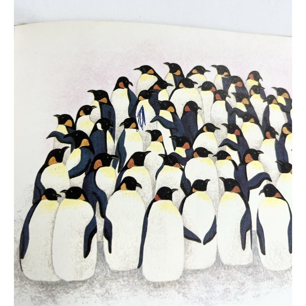 Vintage 1969 The Penguin Children's Book Iliane Roels Animals At Home Hardcover - Picture 7 of 8